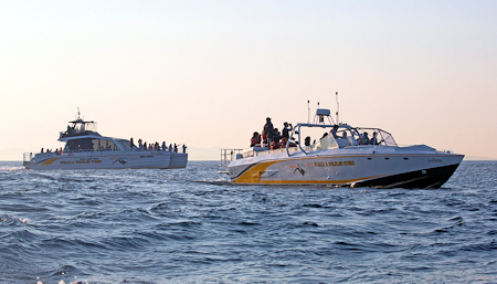Open & covered boats