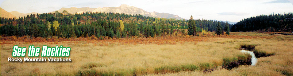 Tie Lake Road, between Cranbrook and Fernie, BC. Canadian Rockies