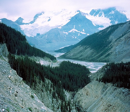 Sunwapta Pass